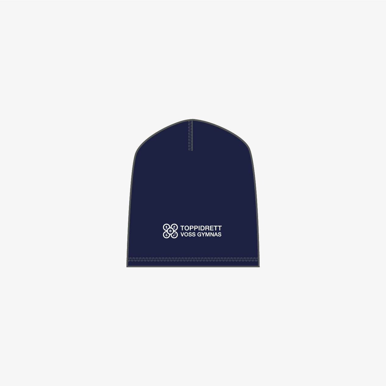 VTI TEAM BEANIE